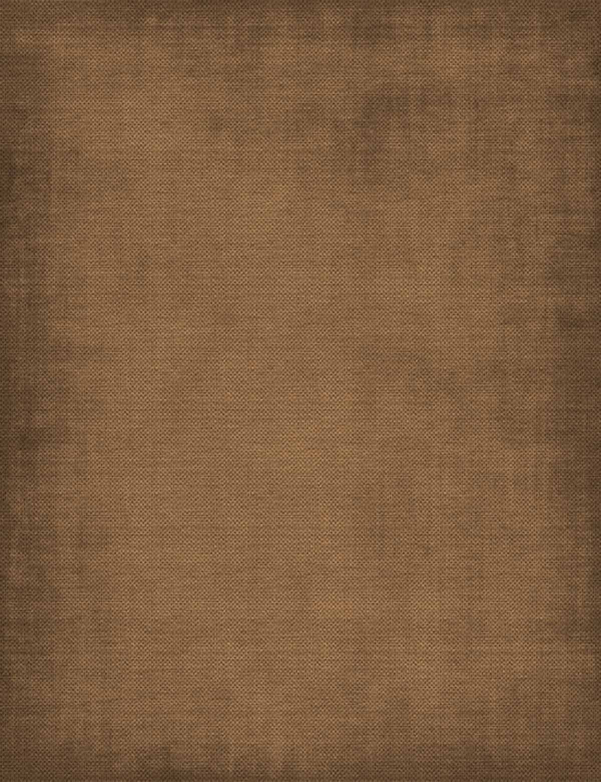 Old Master Bronze Color Fabric Texture Photography Backdrop Shopbackdrop