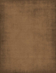 Old Master Bronze Color Fabric Texture Photography Backdrop Shopbackdrop