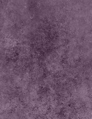 Oliphant Dark Violet Printed Old Master Backdrop For Photo Studio Shopbackdrop
