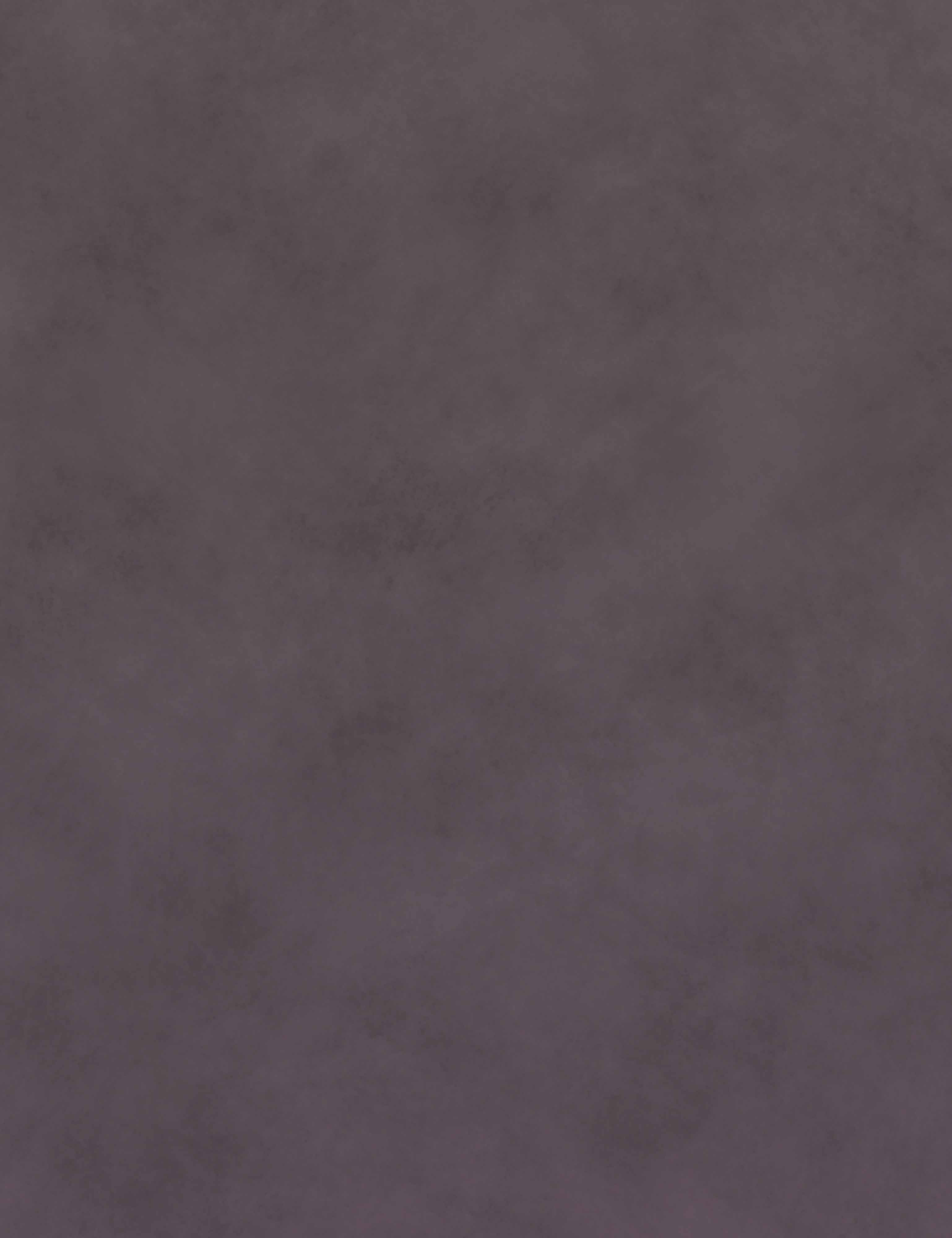Oliphant Rosy Brown Printed Old Master Photography Backdrop Shopbackdrop