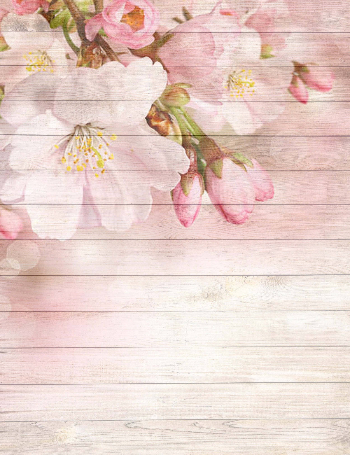Pink Cherry Blossoms Printed On Wood Floor Backdrop Shopbackdrop