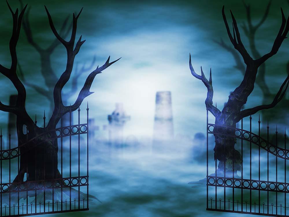 Open Iron Gate And Dead Tree In Frog Backdrop For Photography Shopbackdrop