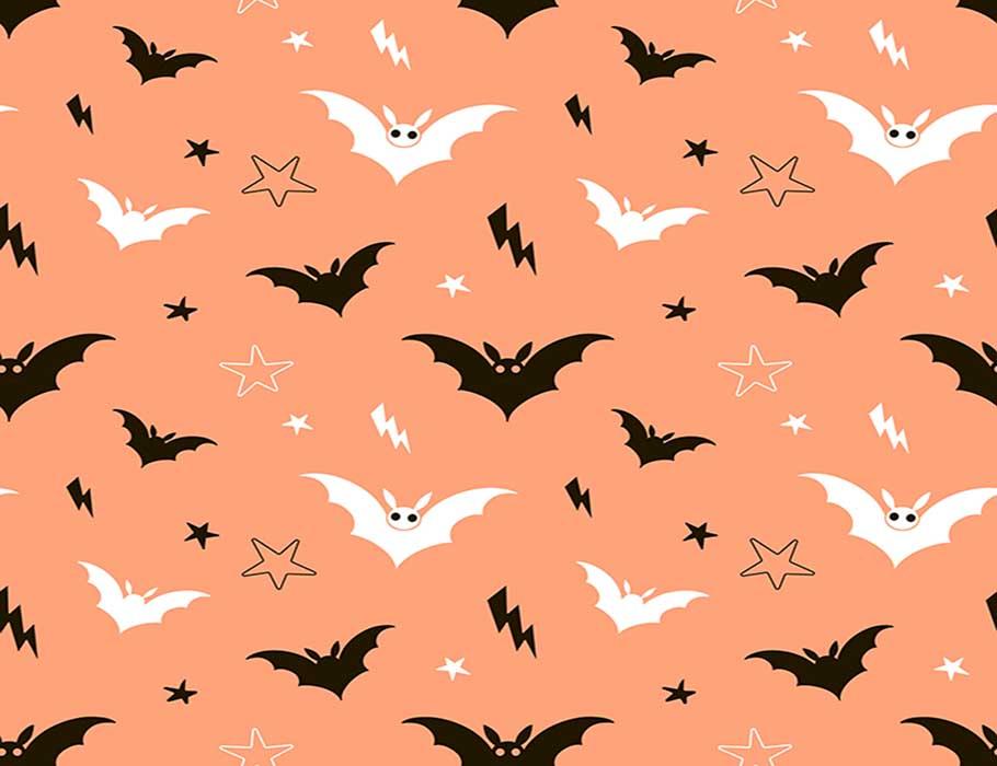 Painted Bat And Star With Orange Background Photography Backdrop J-0206 Shopbackdrop