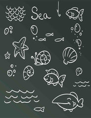 Painted Fish Seashells On Chalkboard For Baby Photography Backdrop Shopbackdrop