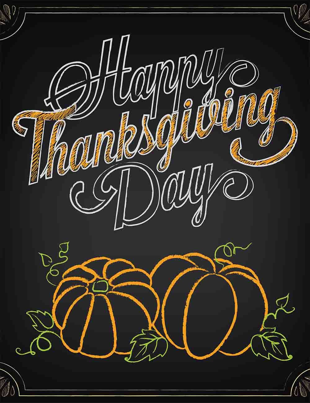 Painted Pumpkins On Chalkboard For Thanksgiving Photography Backdrop Shopbackdrop
