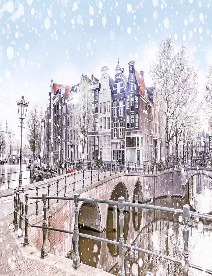 Painted Townhouses In Snow Night Photography Backdrop J-0201 Shopbackdrop