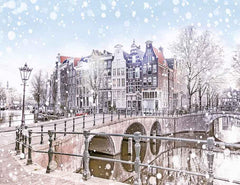 Painted Townhouses In Snow Night Photography Backdrop J-0201 Shopbackdrop