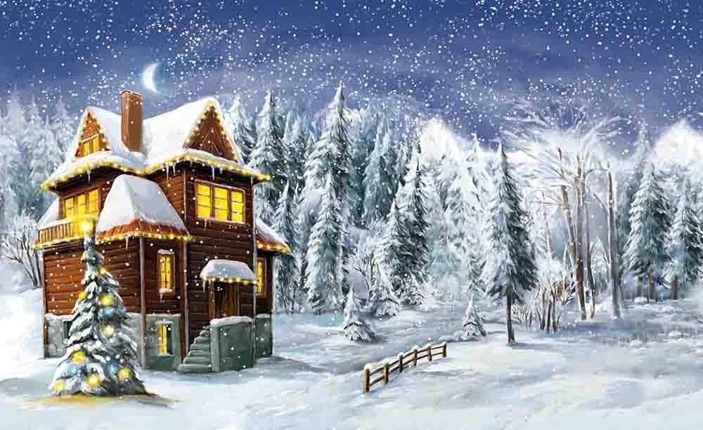 Painted Wooden Room In Snow Night Photography Backdrop J-0127 Shopbackdrop