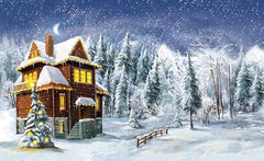 Painted Wooden Room In Snow Night Photography Backdrop J-0127 Shopbackdrop