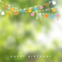 Party Flags With Green Bokeh Sparkle Backdrop For Photography Shopbackdrop