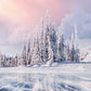 Pine Forest Covered Snow With Ice River Photography Backdrop J-0200 Shopbackdrop