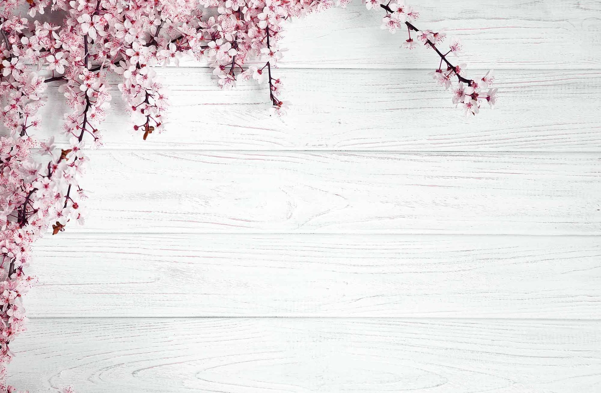 Pink Flowers On Light Cyan Wood Floor Photography For Spring Backdrop Shopbackdrop