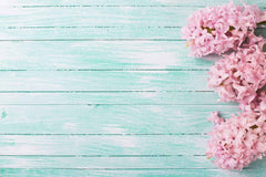 Pink Flowers On Powder Blue Wood Floor Photography Backdrop For Baby Shopbackdrop