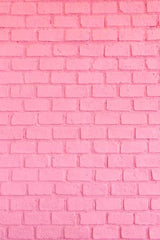 Pink Stucco Brick Wall Texture For Wedding Photo Backdrop Shopbackdrop