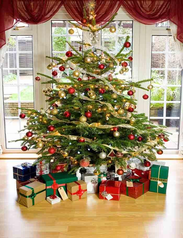 Presents Under Christmas Tree In Living Room Photography Backdrop J-0263 Shopbackdrop