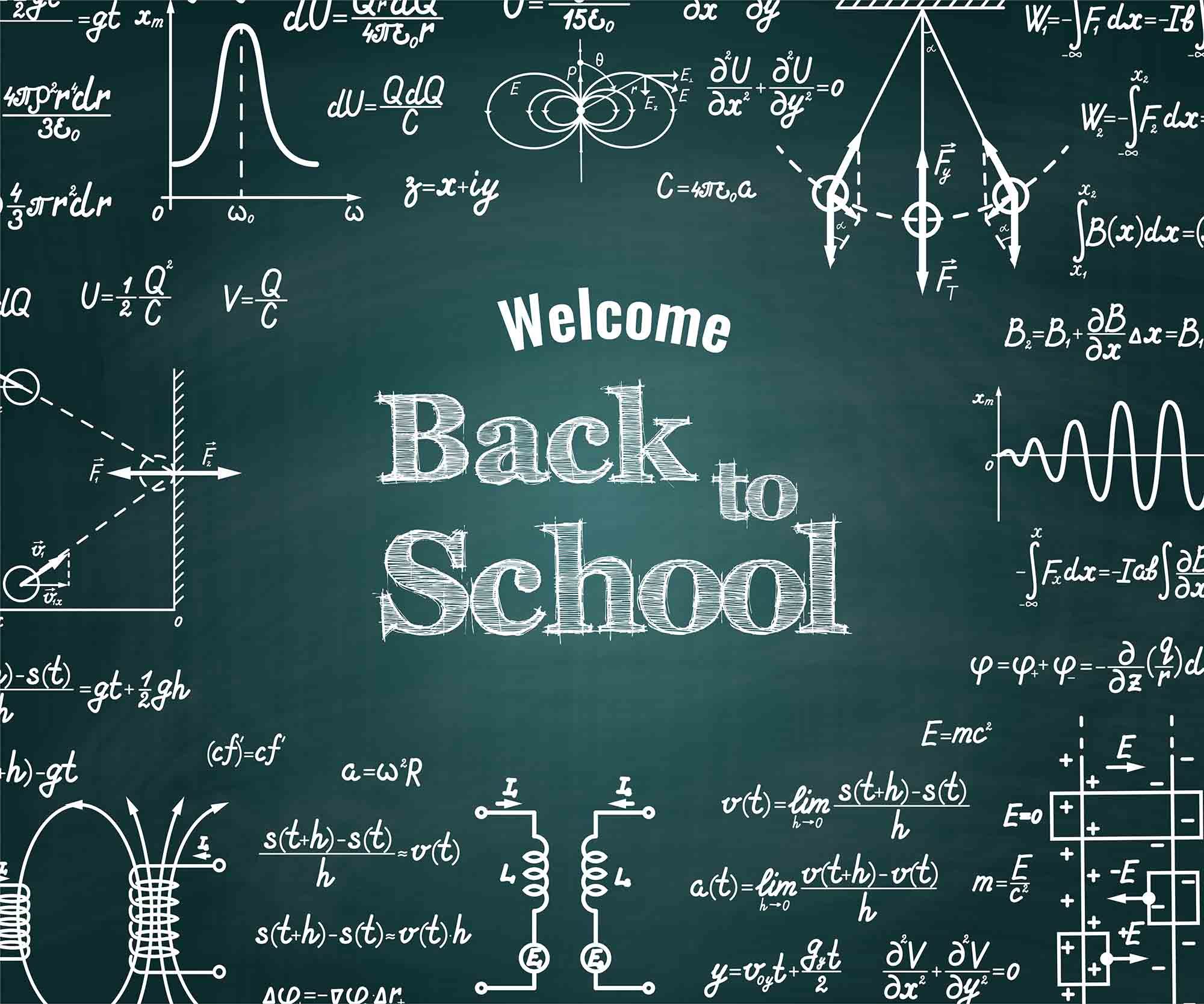 Printed Back To School On Chalkboard For Students Photography Backdrop Shopbackdrop