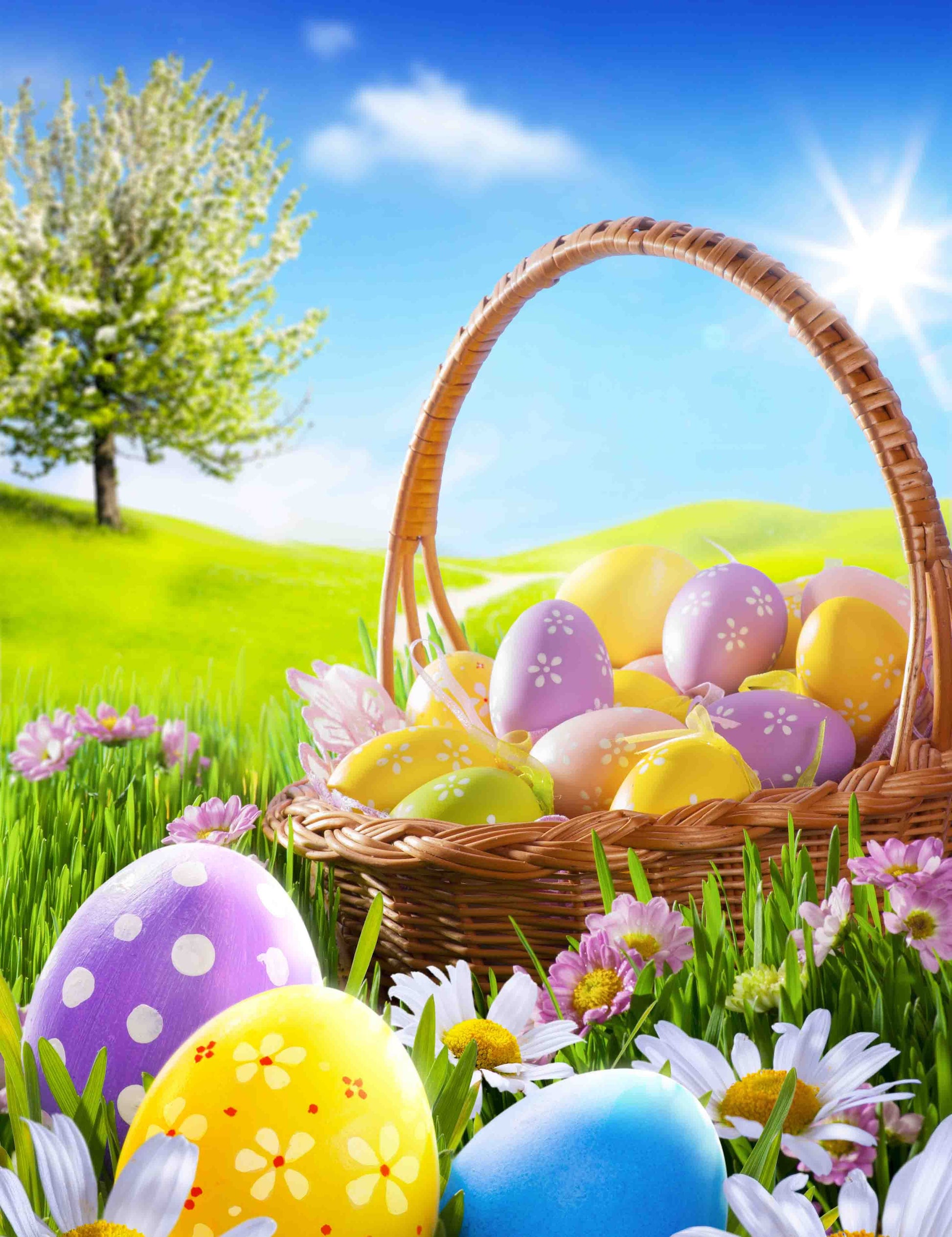 Printed Easter Eggs Meadow And Sunlight Background Photography Shopbackdrop