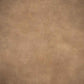 Printed Old Master Camel Color Background Wall For Photography Shopbackdrop