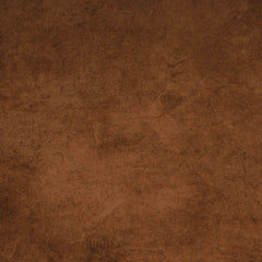 Printed Old Master Light Brown Texture Nearly Solid Backdrop Shopbackdrop