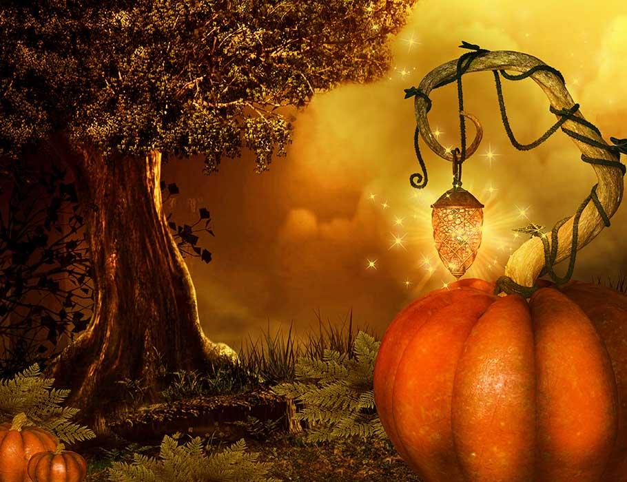 Printed Pumpkin Tree For Halloween Photography Backdrop J-0505 Shopbackdrop