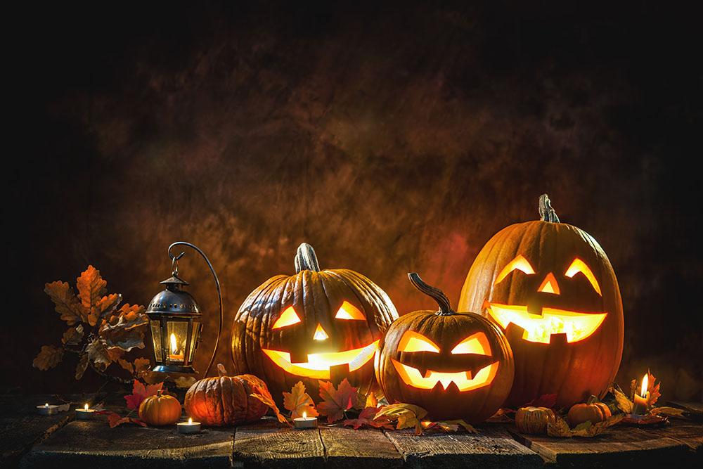 Pumpkins ON Wood Floor With Brown Backdrop For Photography N-0044 Shopbackdrop