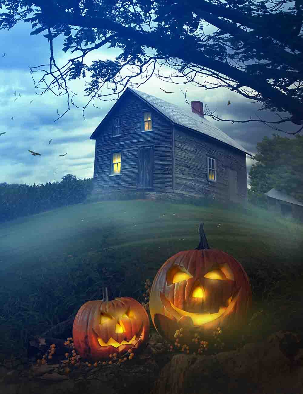 Pumpkins Under Tree Before Wood Room Backdrop For Halloween Photography Shopbackdrop