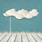 Rain Cloud And Ladder In Pale Blue Background With Wood Floor For Baby Backdrop Shopbackdrop