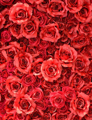 Red Rose Flowers Wall Backdrop For Wedding Photography Shopbackdrop