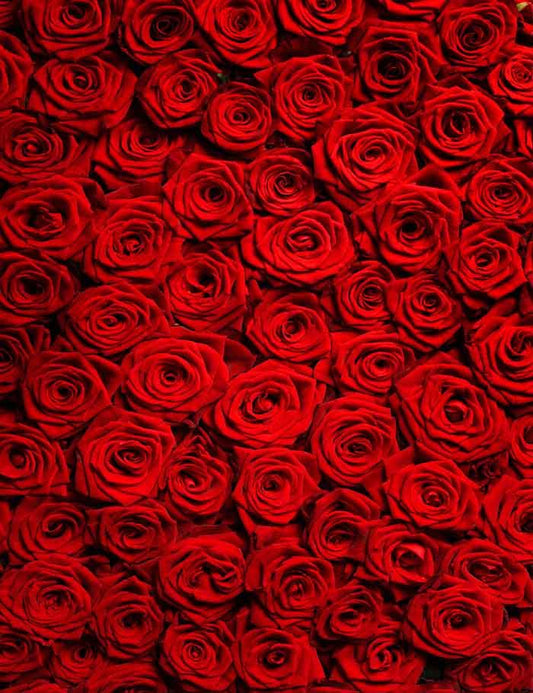 Red Rose Wall For Wedding Photography Backdrop J-0257 Shopbackdrop