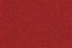 Red Small Pieces Texture Photography Backdrop Shopbackdrop