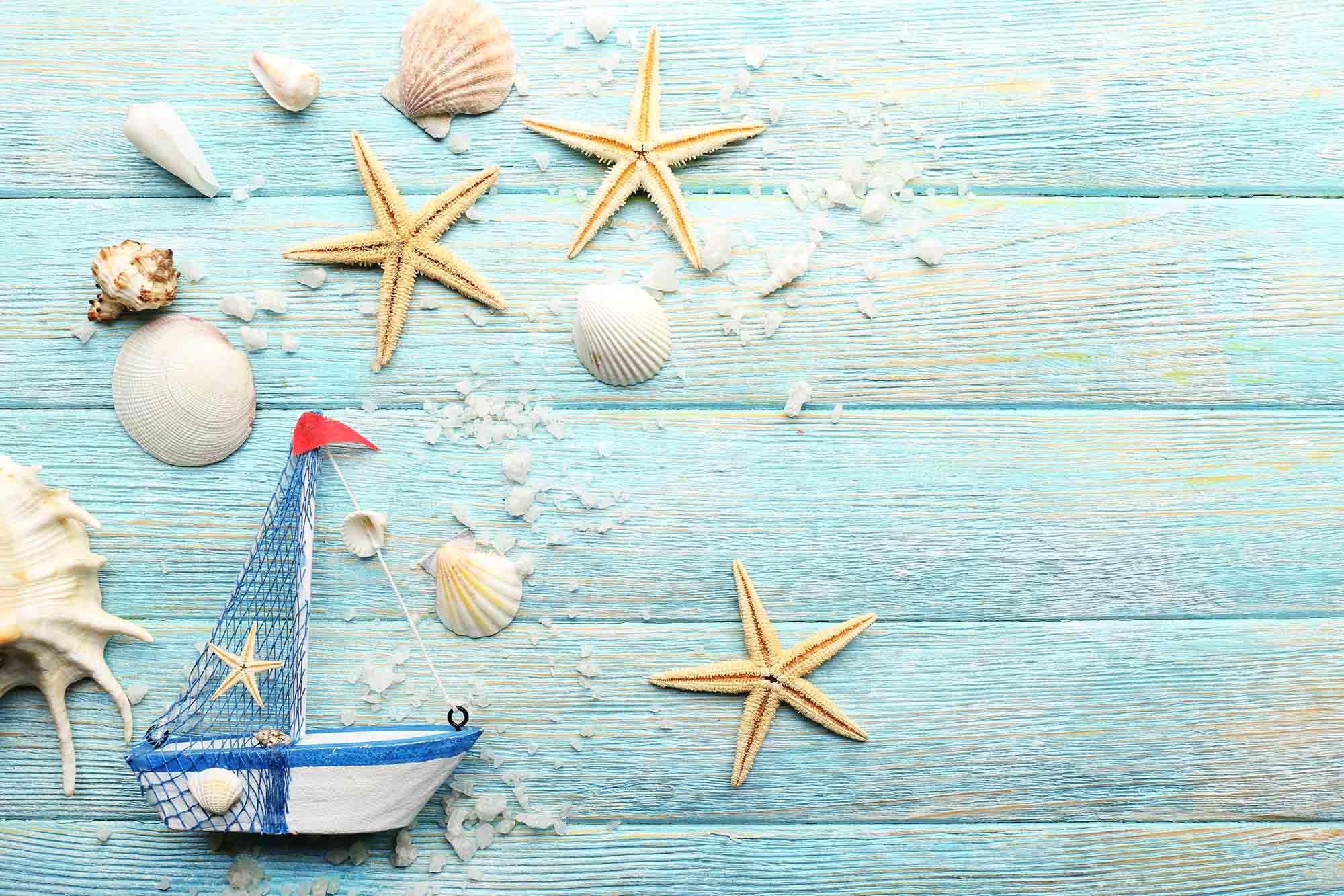 Sailboat And Shell On Baby Blue Wood Floor Backdrop Shopbackdrop