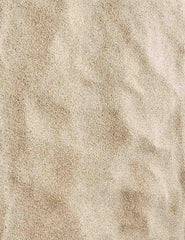 Sandy Floor For Summer Sea Holiday Photography Backdrop J-0255 Shopbackdrop