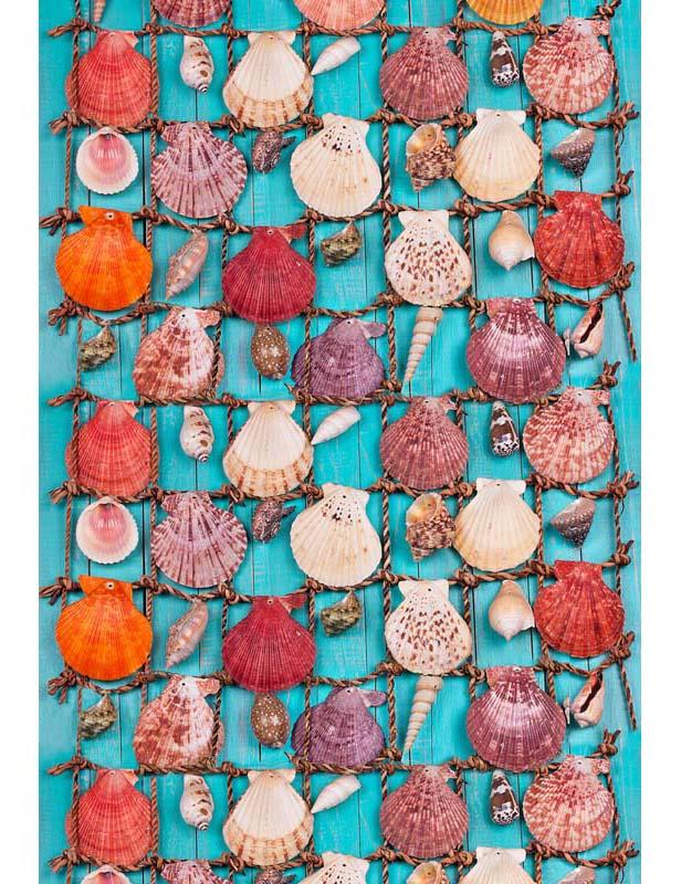 Shell Cloth Backdrop Sea Shells Over Blue Background Wood Summer Holiday Photo Backdrop ...