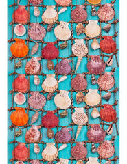 Sea Shells Over Blue Background Wood Summer Holiday Photography Backdrop Shopbackdrop