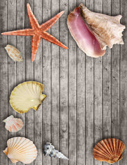 Seashells And Starfish On Gray Wood Floor Backdrop Shopbackdrop