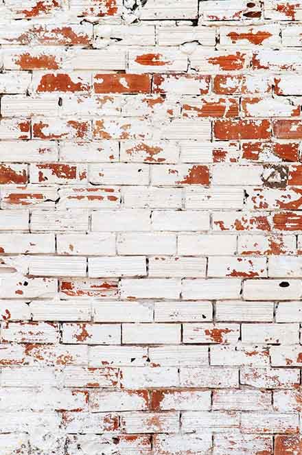 Senior Brick Wall Texture Backdrop For  Photography Shopbackdrop