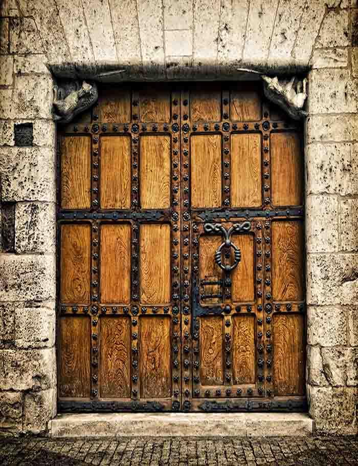 Senior Old Wooden Door With Stone Wall Photography Backdrop J-0254 Shopbackdrop