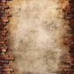 Senior Red Brick Wall With A Hole In Center Backdrop For Photography Shopbackdrop