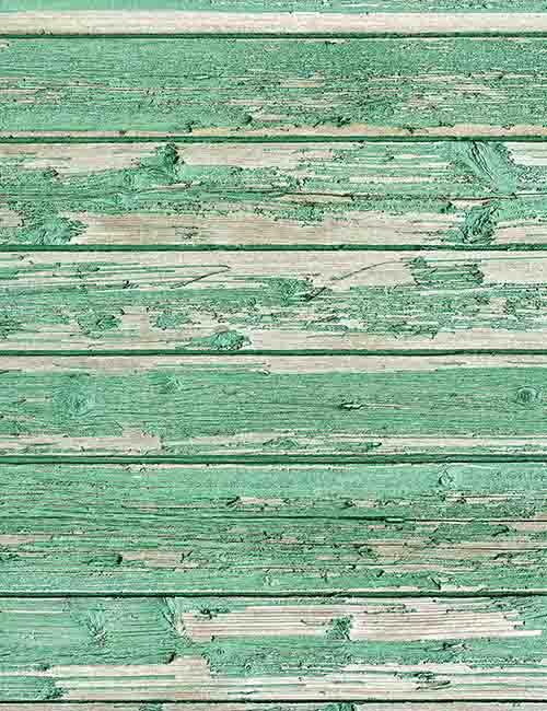 Shedding Senior Lime Green Paint Wood Floor Texture Backdrop Photography Shopbackdrop