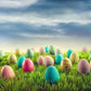 Colorful Easter Eggs On Green Grass Photography Backdrop Shopbackdrop