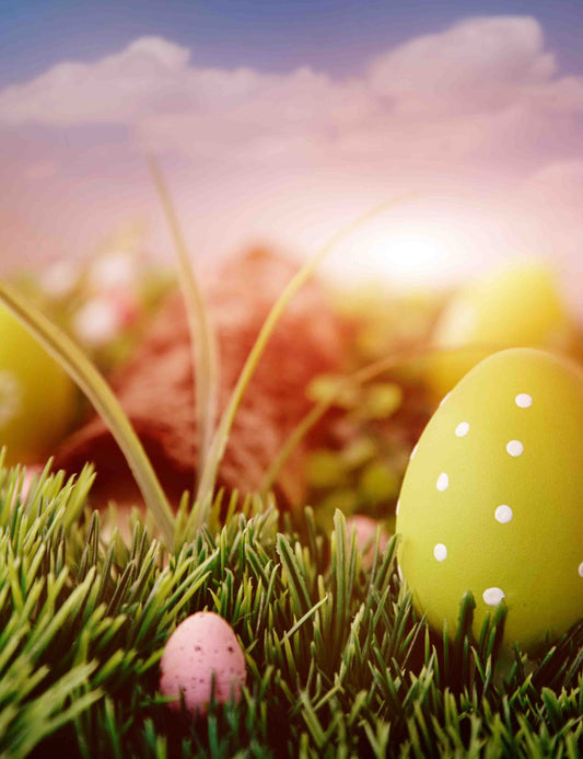 Easter Eggs On Grass In Sunset Backdrops For Photography Shopbackdrop