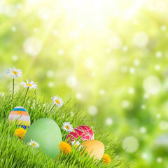 Bokeh Sunshine Easter Eggs Grass Wild Flower Backdrops Shopbackdrop