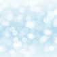 Silver Sparkles Bokeh For Holiday Photography Backdrop Shopbackdrop