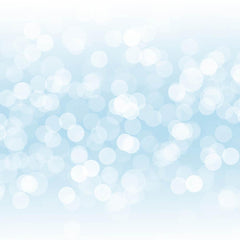 Silver Sparkles Bokeh For Holiday Photography Backdrop Shopbackdrop
