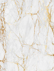 Smoke White Marble With Golden Texture Photograhy Backdrop J-0197 Shopbackdrop