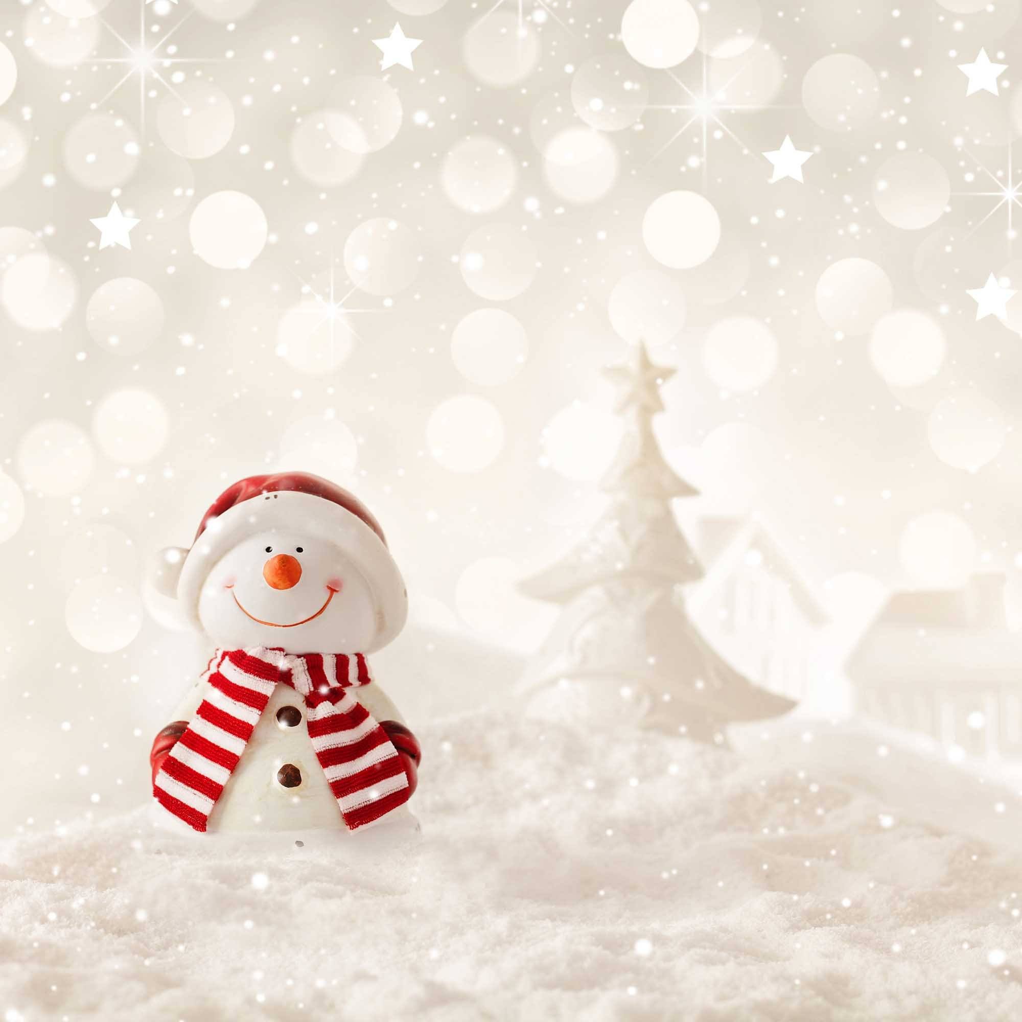 Snow Bokeh With Snowman Background For Baby Backdrop Shopbackdrop