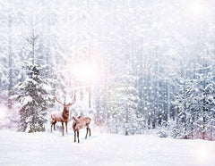 Snow-covered Forest With Deers Backdrop For Winter Photography J-0080 Shopbackdrop