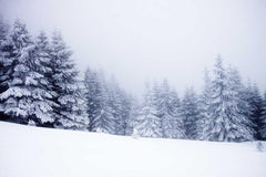 Snow Covered Pine Forest Winter Holiday Backdrop Photography J-0121 Shopbackdrop