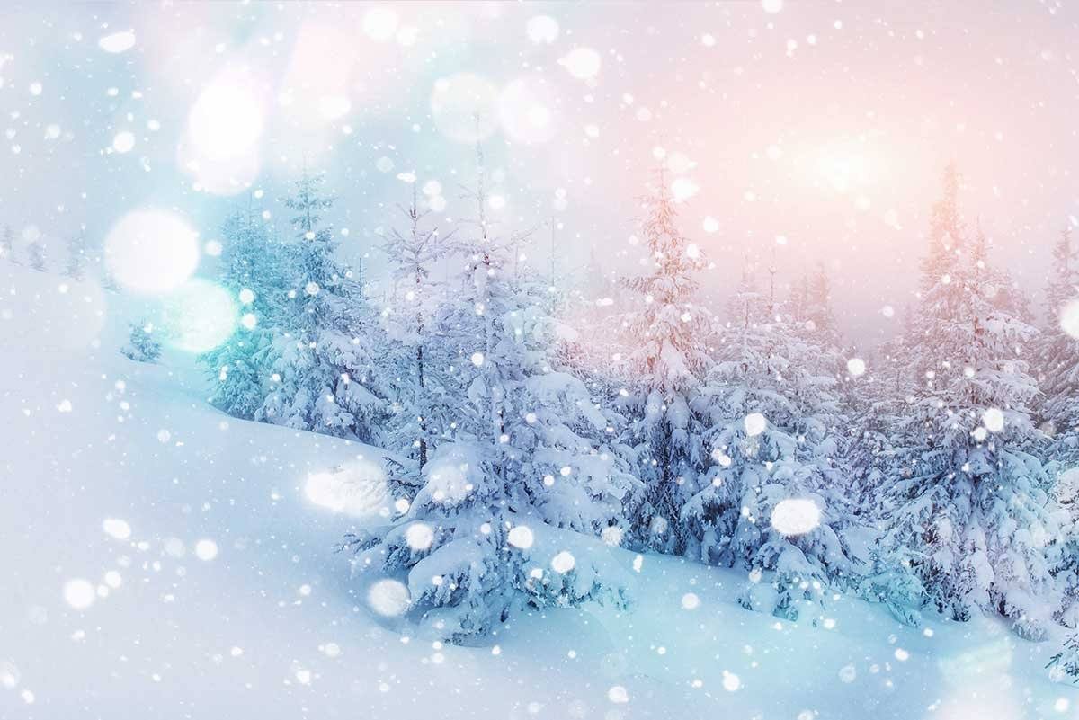 Snow Covered Trees With Bokeh Sunlight Photography  Backdrop J-0177 Shopbackdrop