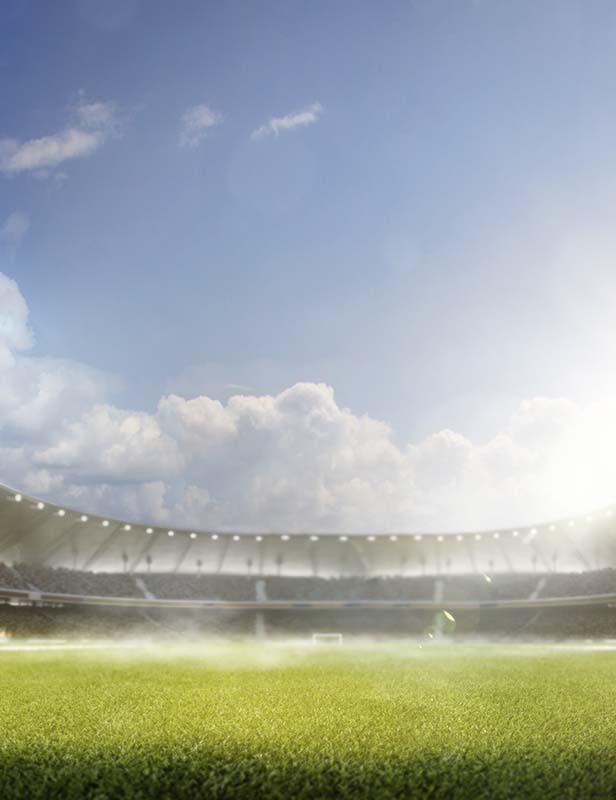 Soccer Field In The Sun Backdrop For 2018 World Cup Shopbackdrop